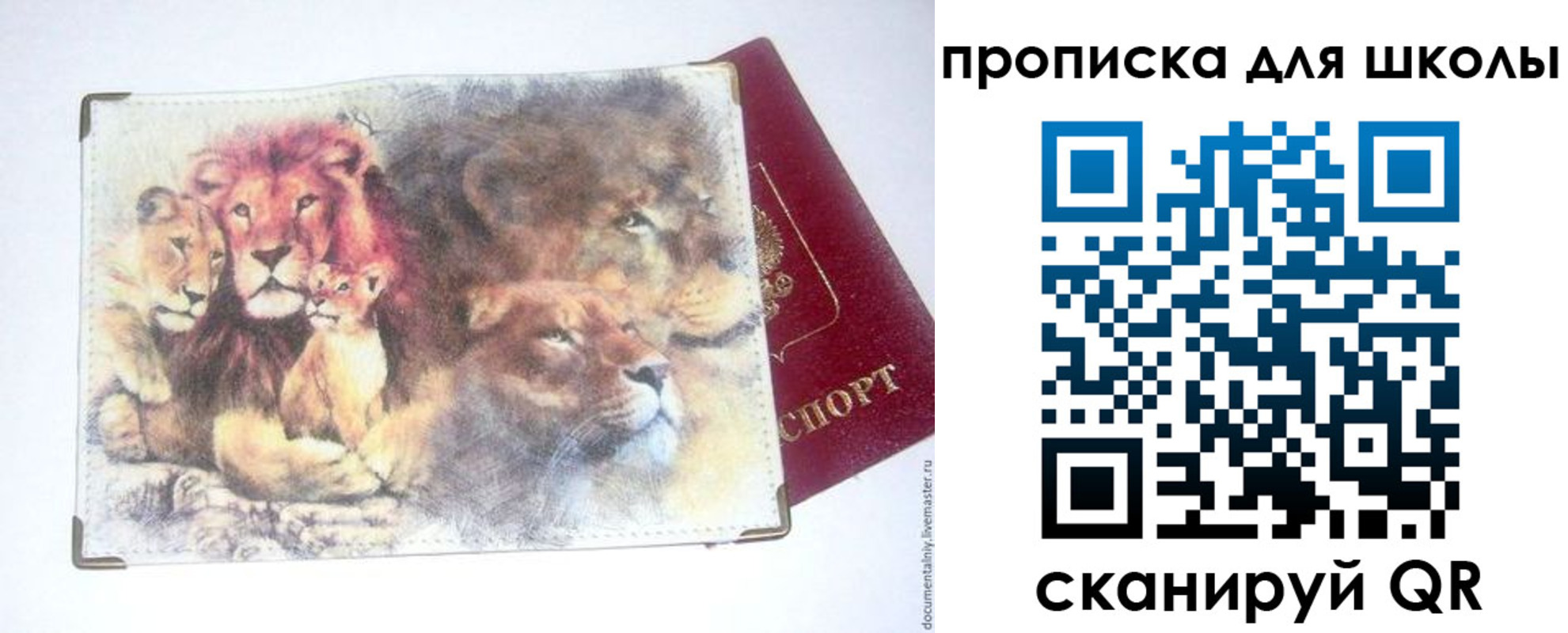 временная регистрация гарантия в Отрадном